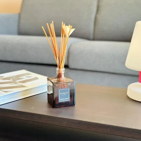 L'oasis - 3 Pieces Centre 칸느