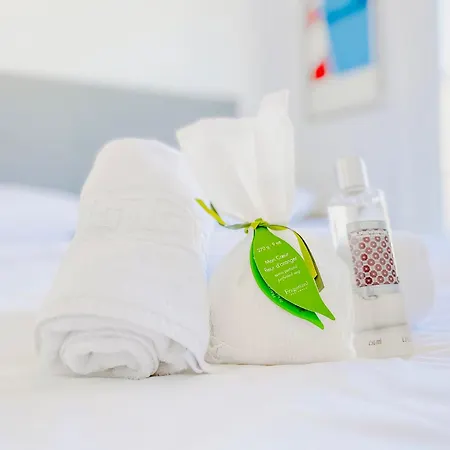 Apartment L'oasis - 3 Pieces Centre Cannes